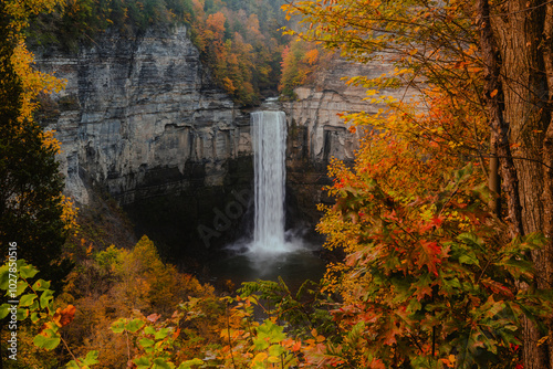 Fototapeta Naklejka Na Ścianę i Meble -  Waterfall Framed Against Tree Colorful Fall Foliage Orange Leaves Taughannock Falls Fingerlakes New York New England. Long Exposure Photography