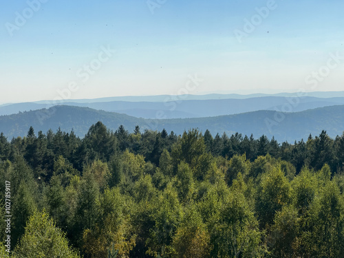 The landscape of Carpathian Mountains in the sunny weather. Perfect weather condition in the summer season