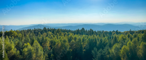 The landscape of Carpathian Mountains in the sunny weather. Perfect weather condition in the summer season