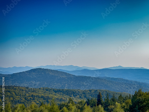 The landscape of Carpathian Mountains in the sunny weather. Perfect weather condition in the summer season