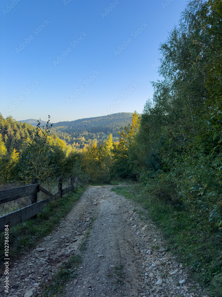 The landscape of Carpathian Mountains in the sunny weather. Perfect weather condition in the summer season The landscape of Carpathian Mountains in the sunny weather. Perfect weather condition in the summer season