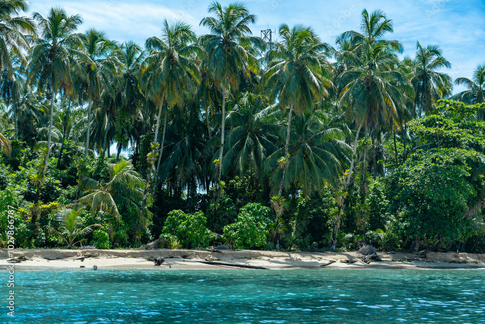 Obraz premium Beautiful Caribbean island scene with a tranquil beach, calm ocean waves, and tall palm trees, offering an idyllic travel destination for tropical holidays, eco-friendly tourism, and nature lovers