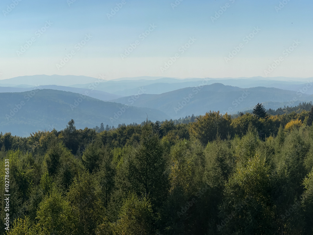 The landscape of Carpathian Mountains in the sunny weather. Perfect weather condition in the summer season The landscape of Carpathian Mountains in the sunny weather. Perfect weather condition in the summer season