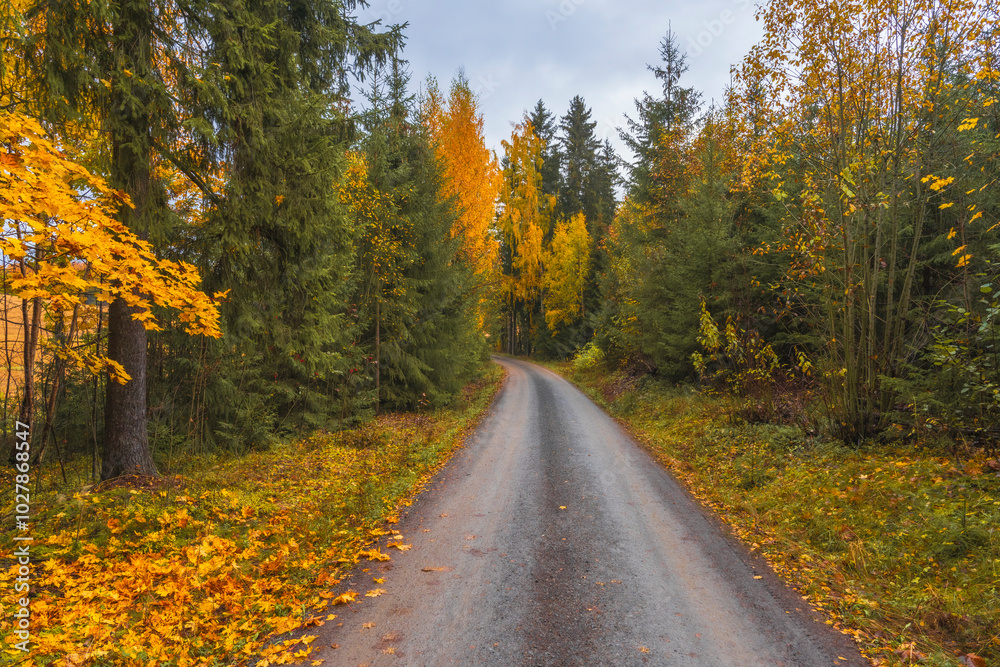 Obraz premium Image from a walk on the St. Olav's Way at Kapp by Lake Mjøsa in October.