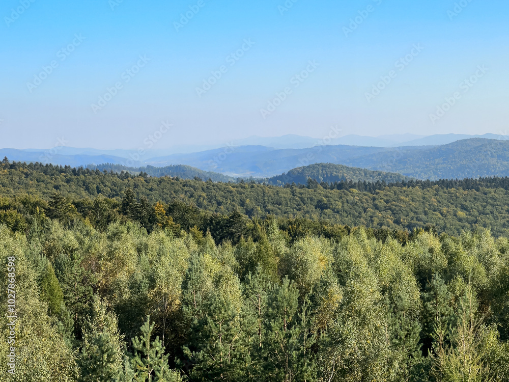 The landscape of Carpathian Mountains in the sunny weather. Perfect weather condition in the summer season The landscape of Carpathian Mountains in the sunny weather. Perfect weather condition in the summer season