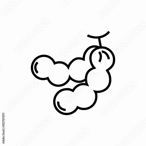 grapes fruit icon sign vector