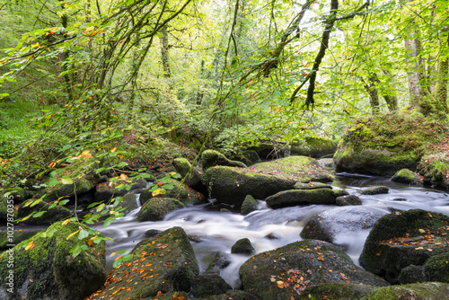 La rivière d’argent serpente au cœur de la forêt d’Huelgoat, sous des teintes automnales dorées, capturée en pose longue pour un effet soyeux et apaisant de l'eau.