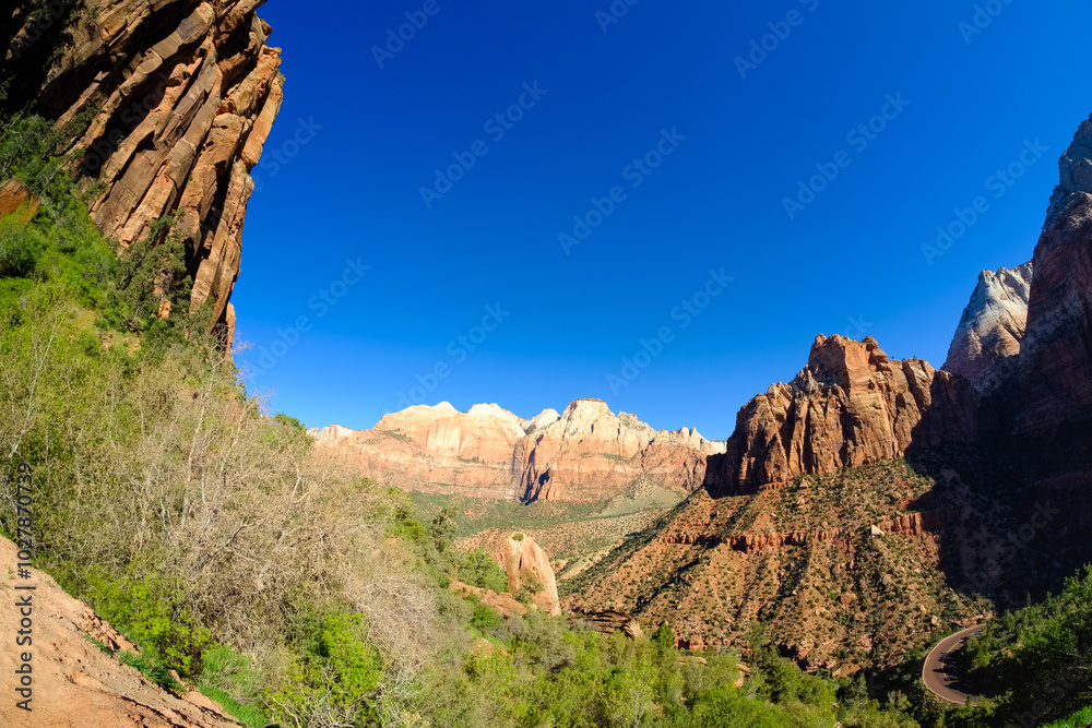 Fototapeta premium Zion National Park in Utah