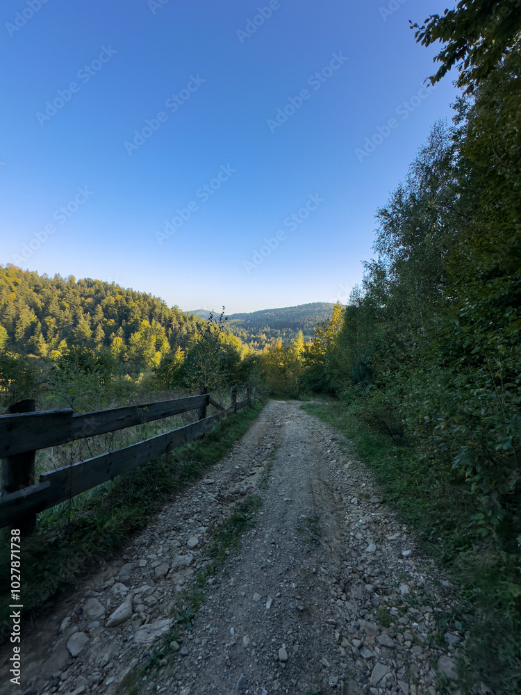 Fototapeta premium The landscape of Carpathian Mountains in the sunny weather. Perfect weather condition in the summer season