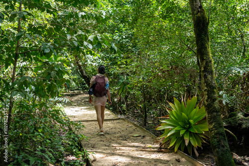 Green forest path bathed in sunlight, lined with vibrant plants and tall trees, providing a scenic and natural walking trail for relaxation, adventure, and connection with nature, calm outdoor setting photo