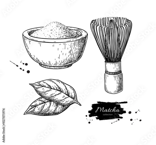 Matcha tea vector drawing. Bowl with matcha powder, green tea leaves, and bamboo whisk sketch. 