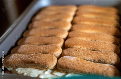 Obraz na płótnie Delicious Tiramisu Dessert with Ladyfingers in Baking Pan w salonie