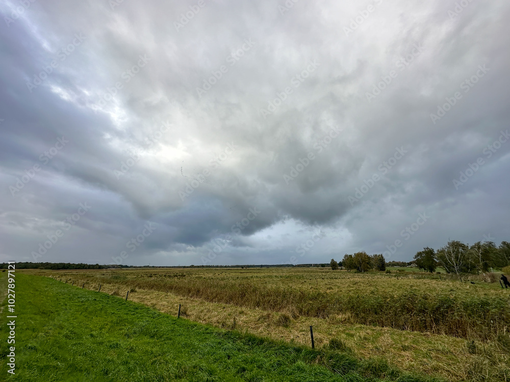 Fototapeta premium rural landscape around Greifswald, Germany