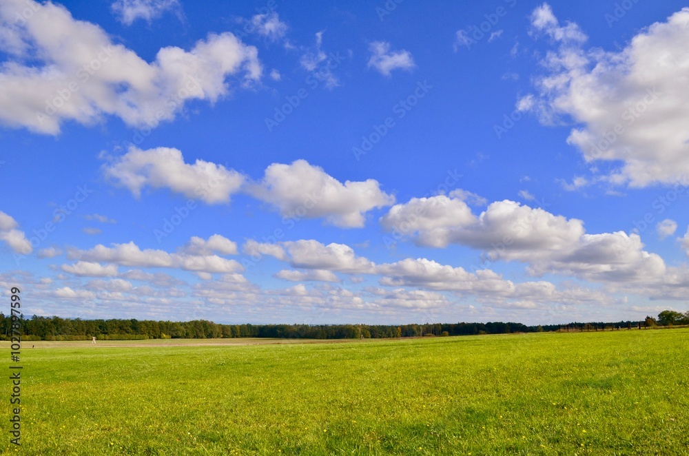 autumn landscape blue sky yellow trees autumn landscape blue sky yellow trees
