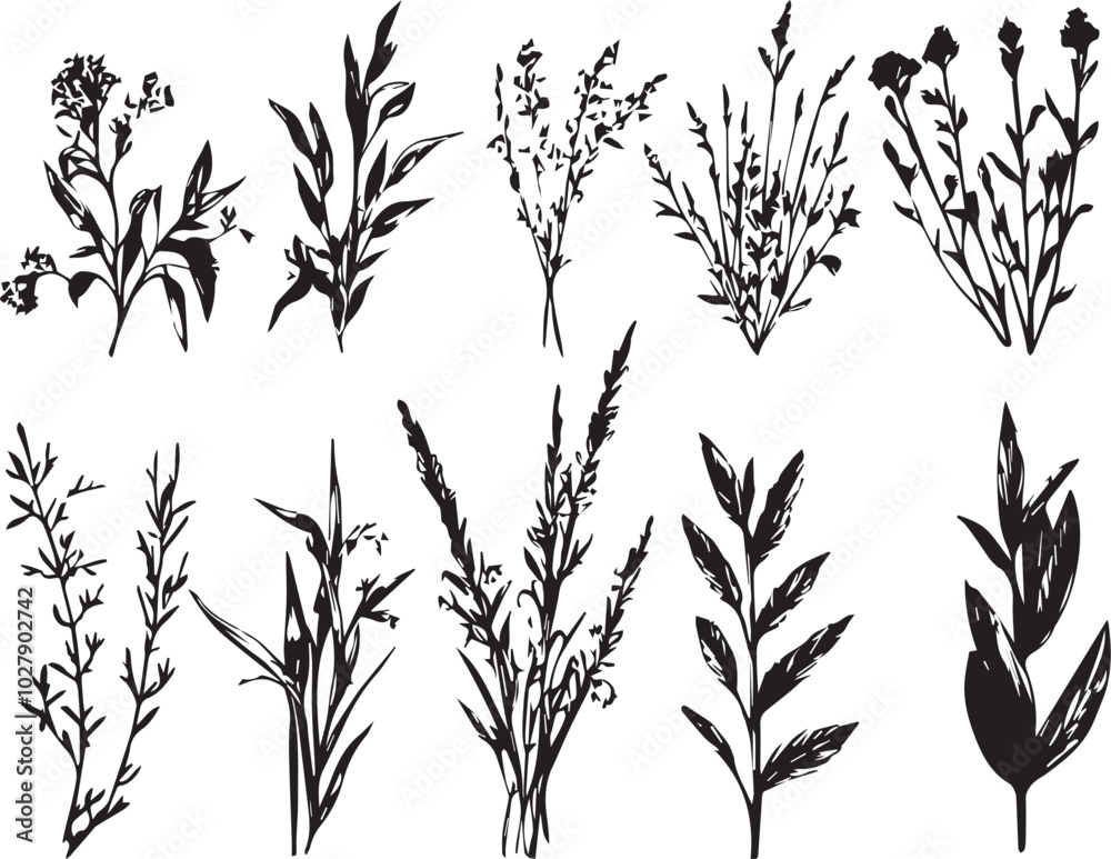 Naklejka premium Set plants. Hand drawn vector illustration