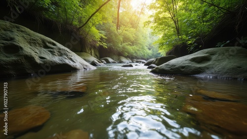 Tranquil Stream in Sunlit Wilderness