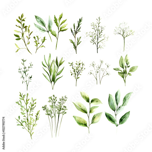 Wallpaper Mural Watercolor forest herbs and greenery set perfect for botanical illustrations Torontodigital.ca