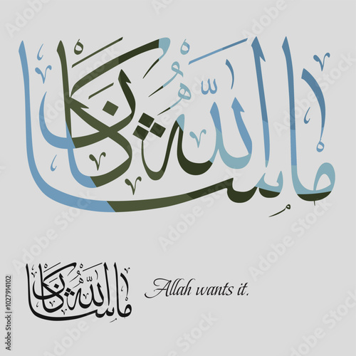 Islamic Calligraphy translated: Allah wants it.