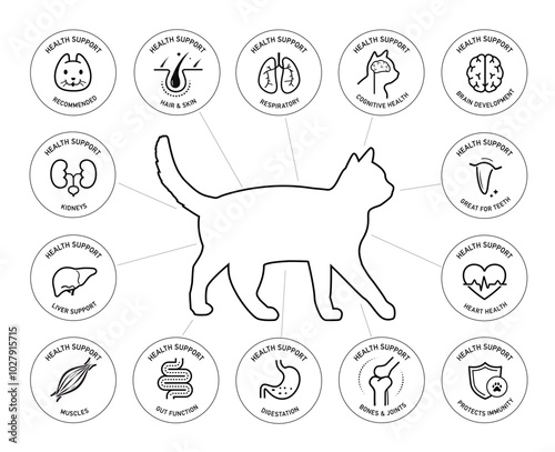 A set of icons for cat. The components of a dog's health. The outline icons are well scalable and editable. Contrasting elements are good for different backgrounds. EPS10.