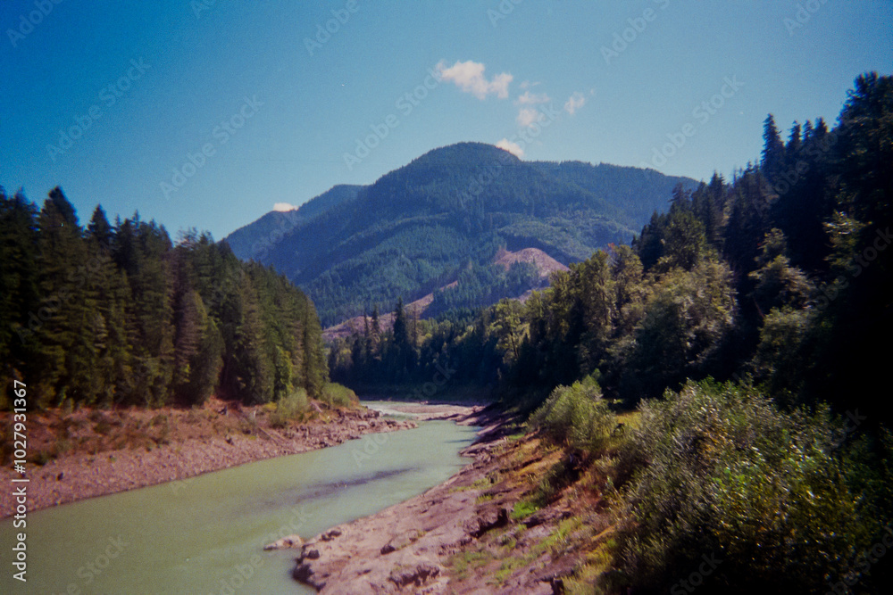 Winding River Surrounded by Pine Trees Leading to a Tree-Covered Mountain Under a Clear Sky Winding River Surrounded by Pine Trees Leading to a Tree-Covered Mountain Under a Clear Sky