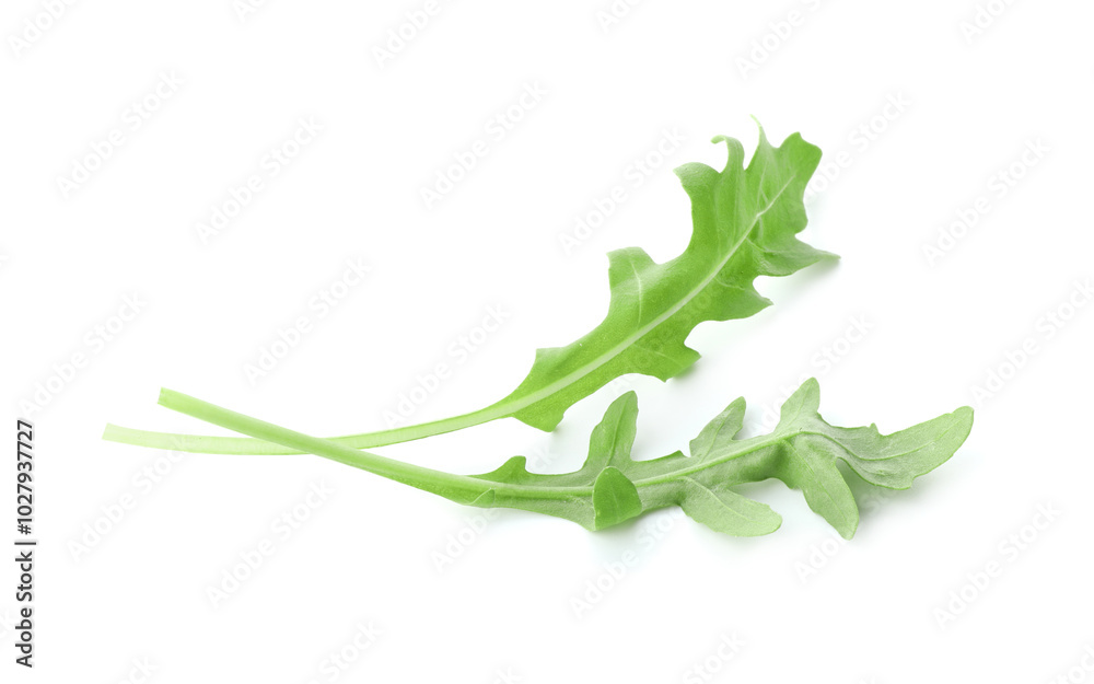 Two fresh arugula leaves on white background Two fresh arugula leaves on white background