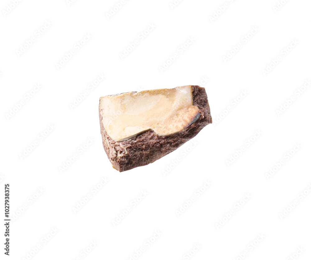 Piece of macadamia nut shell isolated on white Piece of macadamia nut shell isolated on white
