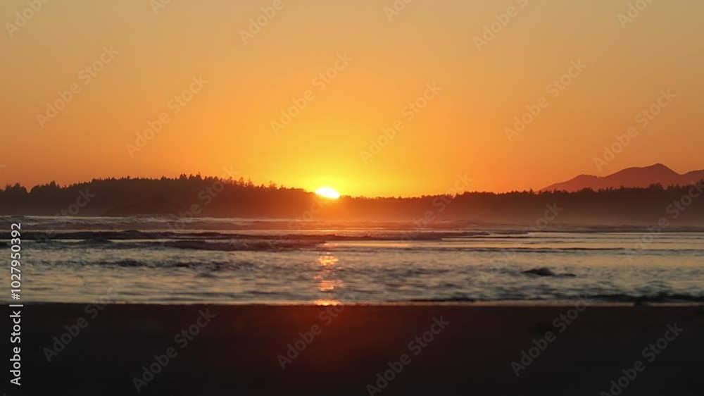 Clear Sunset over Trees and Ocean Clear Sunset over Trees and Ocean