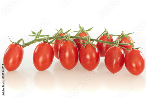 Fresh red cherry tomatoes on a branch on a white background