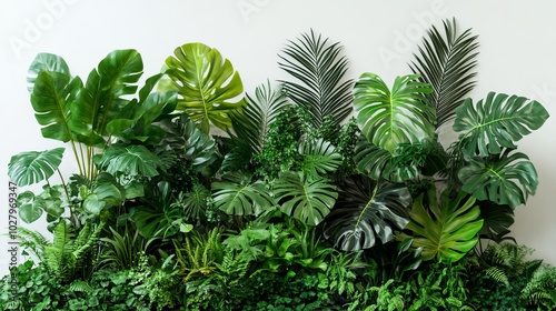 Tropical plant arrangement featuring Monstera, palm, rubber plant, pine, and bird's nest fern against a white backdrop, showcasing the lush greenery of Thailand's indoor gardens.