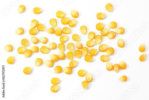 Many fresh corn kernels on white background, flat lay