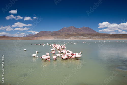 Scenic view of Laguna Hedionda and Jame's flamingos with mountains on the background in Nor Lipez, Potosi (Bolivia South America)