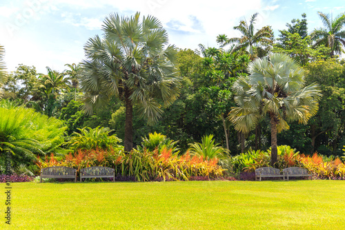 Beautiful summer parc with palm trees