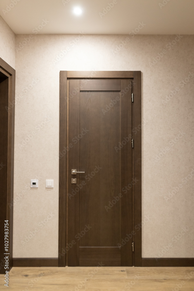 Modern apartment interior showcasing a sleek brown door design and minimalist wall detail in soft lighting for a fresh living space atmosphere Modern apartment interior showcasing a sleek brown door design and minimalist wall detail in soft lighting for a fresh living space atmosphere