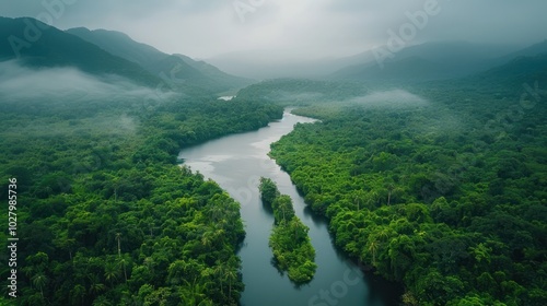 Aerial view of a misty meandering river flowing through a lush verdant mountainous forest landscape Serene