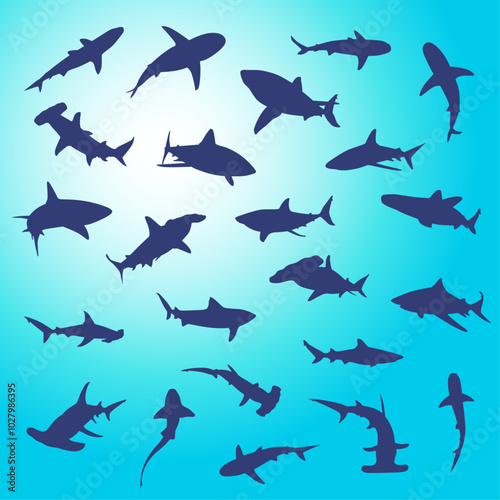 Shark Silhouette Vector Graphics. Hammer head, Great White, Tiger, & Reef Sharks