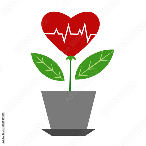 Heart in a flowerpot on a white background. Cardiology