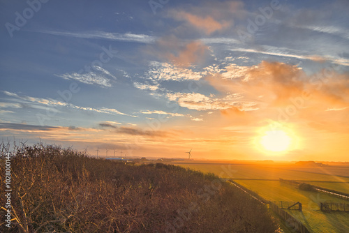 sunset over the field