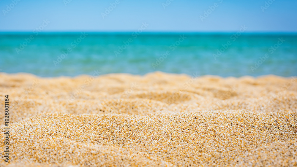 Golden Sands and Azure Ocean Horizon 24