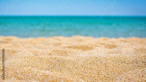 Golden Sands and Azure Ocean Horizon 24