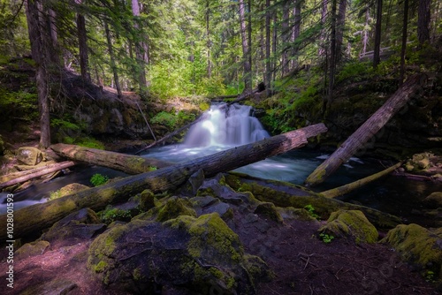 Waterfall in the woods
