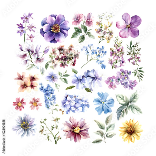 Extensive watercolor floral collection with a variety of blooms and botanical sketches