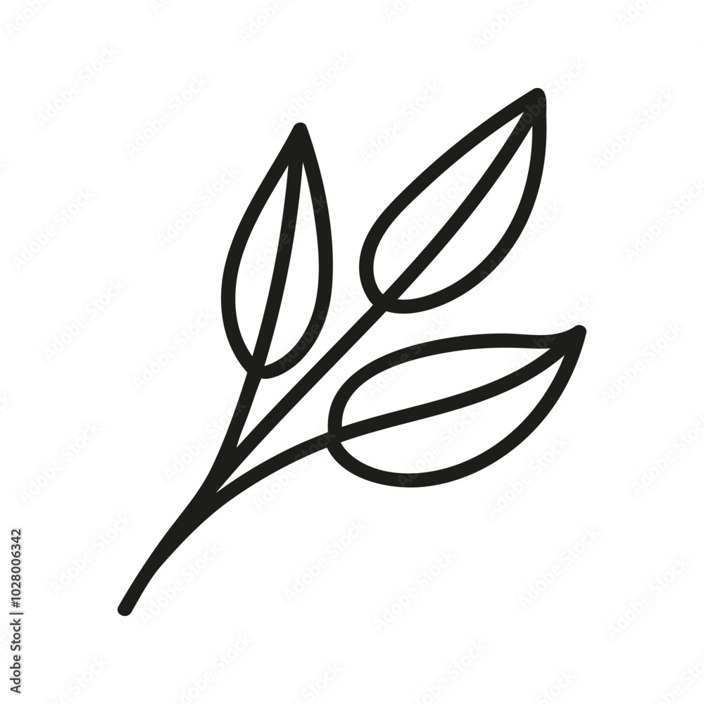 Hand drawn tea twig foliage, herbal branch. Linear doodle clipart Hand drawn tea twig foliage, herbal branch. Linear doodle clipart
