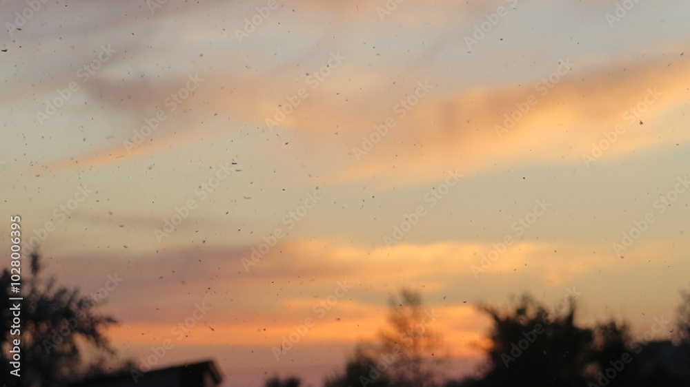 Fototapeta premium sunset