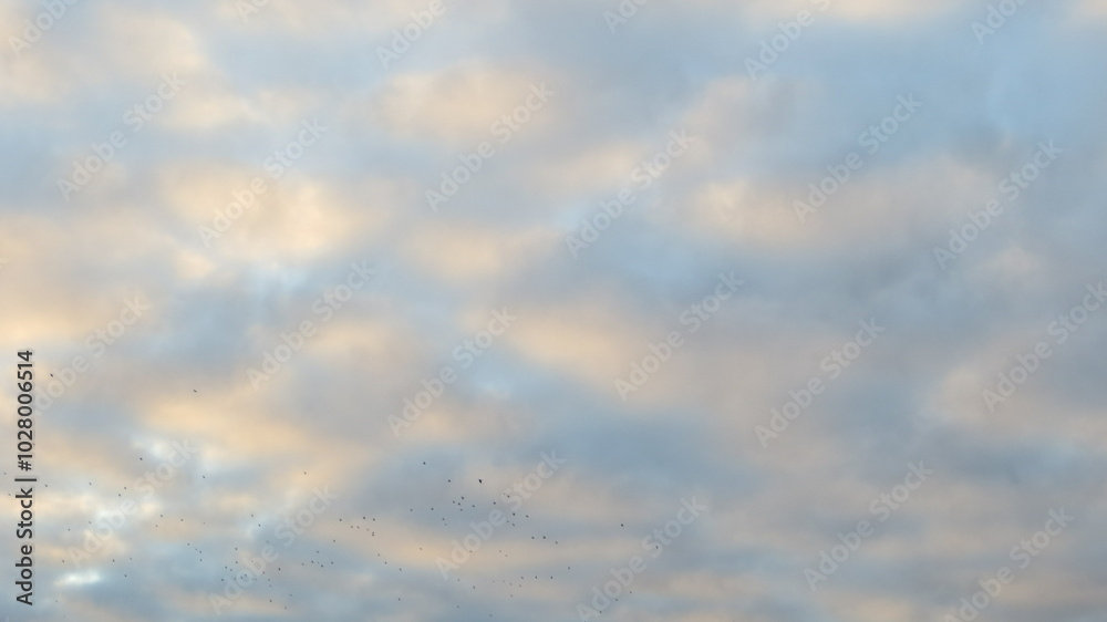 blue sky with clouds blue sky with clouds