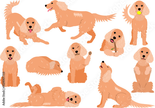 cute Cocker Spaniel various pose bundle