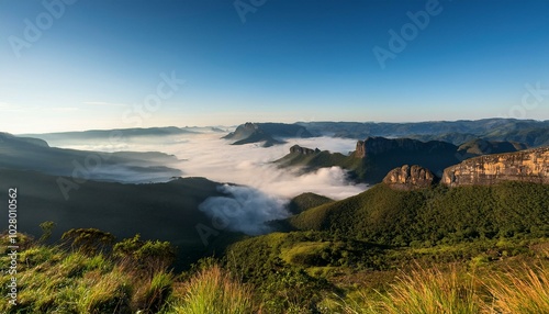 Obraz na płótnie early morning fog over valleys and mountains serra da canastra minas gerais state brazil w salonie