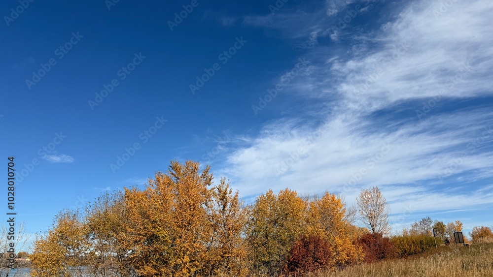 autumn landscape with trees and sky autumn landscape with trees and sky