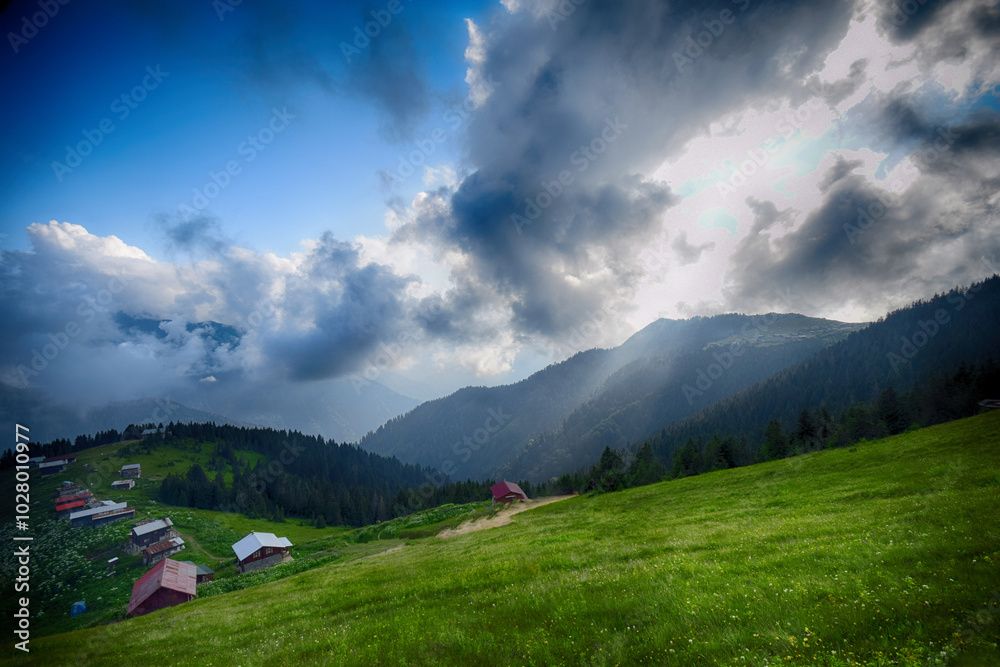 custom made wallpaper toronto digitalPOKUT PLATEAU view with Kackar Mountains. This plateau located in Camlihemsin district of Rize province. Kackar Mountains region. Rize, Turkey.