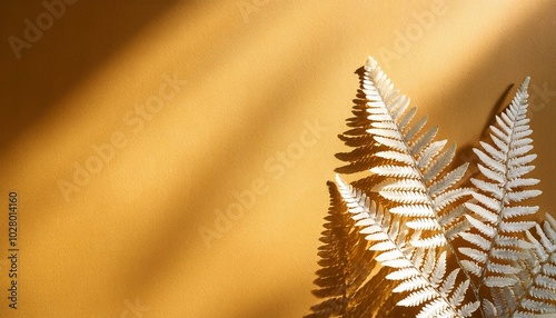 white fern leaf herb with shadow design element on golden background in sunlight copy space