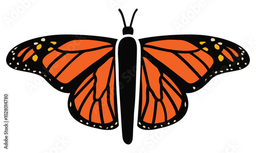 Monarch Butterfly Illustration | Overhead Diagram and Closeup View of a Butterfly | Mariposa Silhouette | Winged Insect Outline